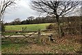 Path junction at Brightling Down