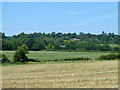 View towards the North Downs