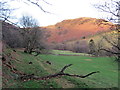 Llwybr ger Craig Rhosan / Path near Craig Rhosan