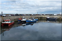 NU2232 : Fishing boats in North Sunderland Harbour by Mat Fascione