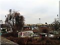 Looking over houses towards Griffin Park