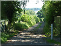 Track south from Pilgrims Lane, Titsey