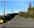 Hedge-lined Blaennantygroes Road, Cwmbach