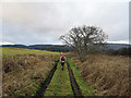 Track towards Evanton from Balconie Point