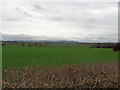 Across the fields to the Malverns from Wadborough