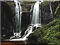 Fairlie Castle Waterfall - Fairlie Glen