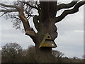 SO9247 : Barn Owl nest box near Lodge Wood, Drakes Broughton by Jeff Gogarty