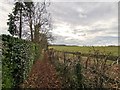 Footpath near Jeffries Road