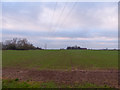 SK2537 : Arable Field near Grange Fields Farm by SK53