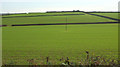 Fields near Lillimore Cottages