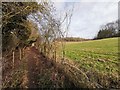 Bridleway near Hangers Wood