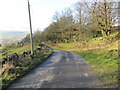 Brunthwaite Land heading towards High Brunthwaite