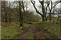 Farm Track, Cawder