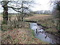 Llwybr ar lan Nant Nawmor / Path alongside Nawmor Stream