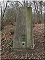 Trig Point on top of August Hill