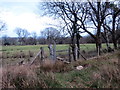 Llwybr ger Waun Croiddur / Path near Waun Croiddur