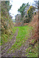 North Devon : Track