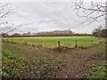 Small Field near Barcombe Farm