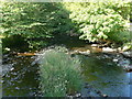 Afon Aeron near Llanerchaeron