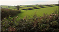 SX8146 : Farmland by Whitestone Cross by Derek Harper
