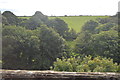 SW9451 : Hillside seen from Coombe Viaduct by N Chadwick
