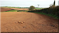 Field, Lower Norton