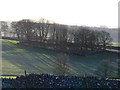 Old quarry above Cardlemere Lane