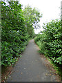 Cycle path at Gailes