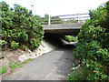 Cycle path at Marine Drive