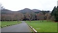 Road across Donard Park