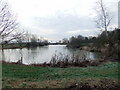 Fishing pond at Wholesea Grange