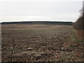 Stubble field near Manton Forest Farm