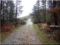J3729 : The upper Donard Wood road approaching Thomas's Mountain quarry by Eric Jones