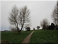 Footpath to Thrybergh Hall Road