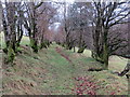 Llwybr Ceffyl ger Parc Owen / A bridleway near Parc Owen