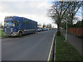 Bloodstock transporter on Birdcage Walk