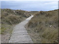 SJ1084 : Boardwalk through the dunes by Eirian Evans