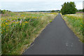 Cycle path at Irvine