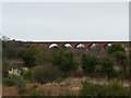 NZ8909 : Larpool Viaduct from the west by Stephen Craven