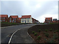 New housing off Larpool Lane