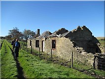 NY5857 : Ruined cottages near Forest Head by Les Hull