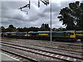 Class 66, 66513 and 66549, at Bristol Parkway station