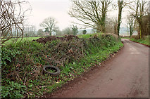 SX9075 : Tyred hedgebank, Humber by Derek Harper