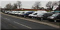 Row of vans for sale in Nelson