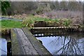 Plank bridge and side channels, Test Valley