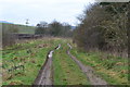 Muddy byway west of Longstock Road