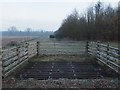 Cattle grid and gate