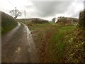 Muddy road and tracks