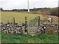 G?t fach ar lwybr / A small gate on path