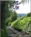 Killhorse Lane near Elton (2)